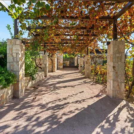 ιπποθόη Vilă