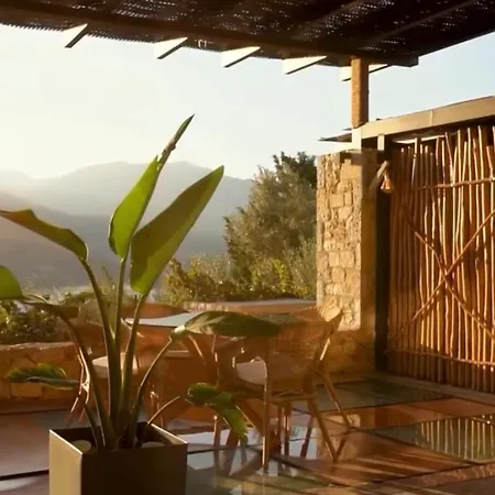 The Vineyard - Hippothoe Villa